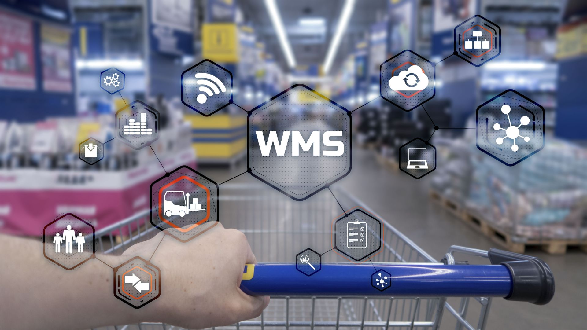 Warehouse Management System (WMS): Kunci Kesuksesan Bisnis