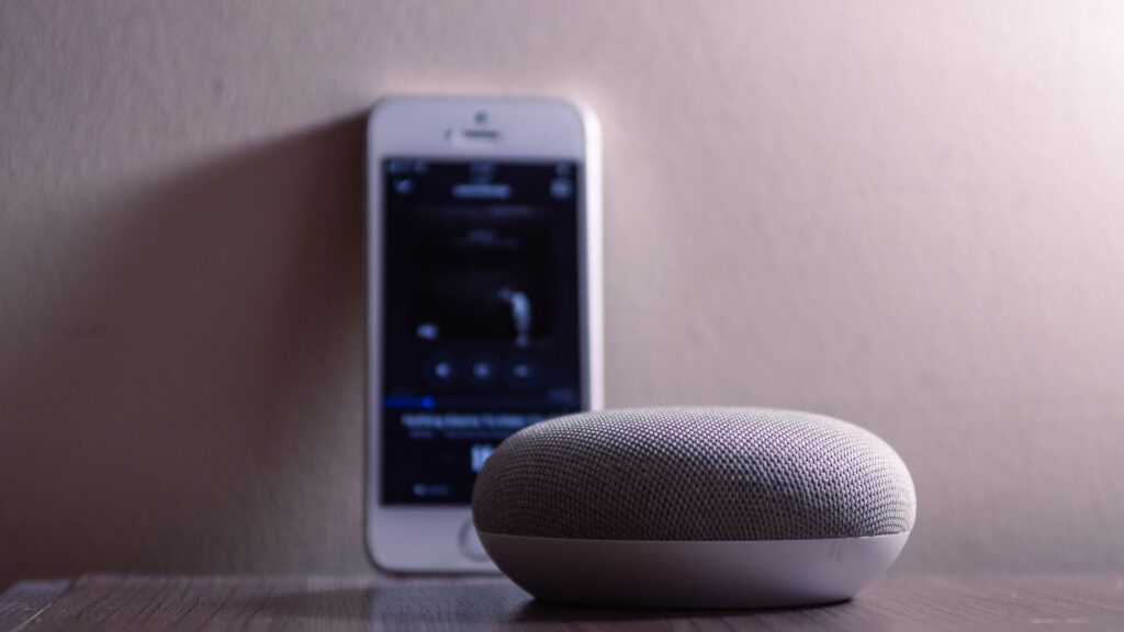 google home