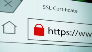 Read more about the article Apa itu Sertifikat SSL? Jenis dan Tips Memilih Sertifikat yang Tepat