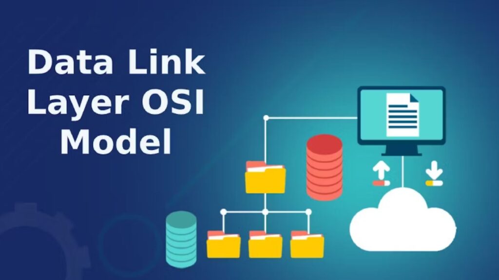 data link layer