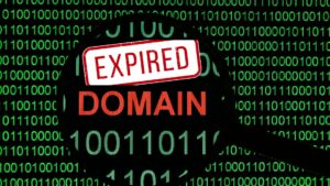 Read more about the article Ini Cara Cek Expired Domain agar Tidak Kehilangan Peluang Emas