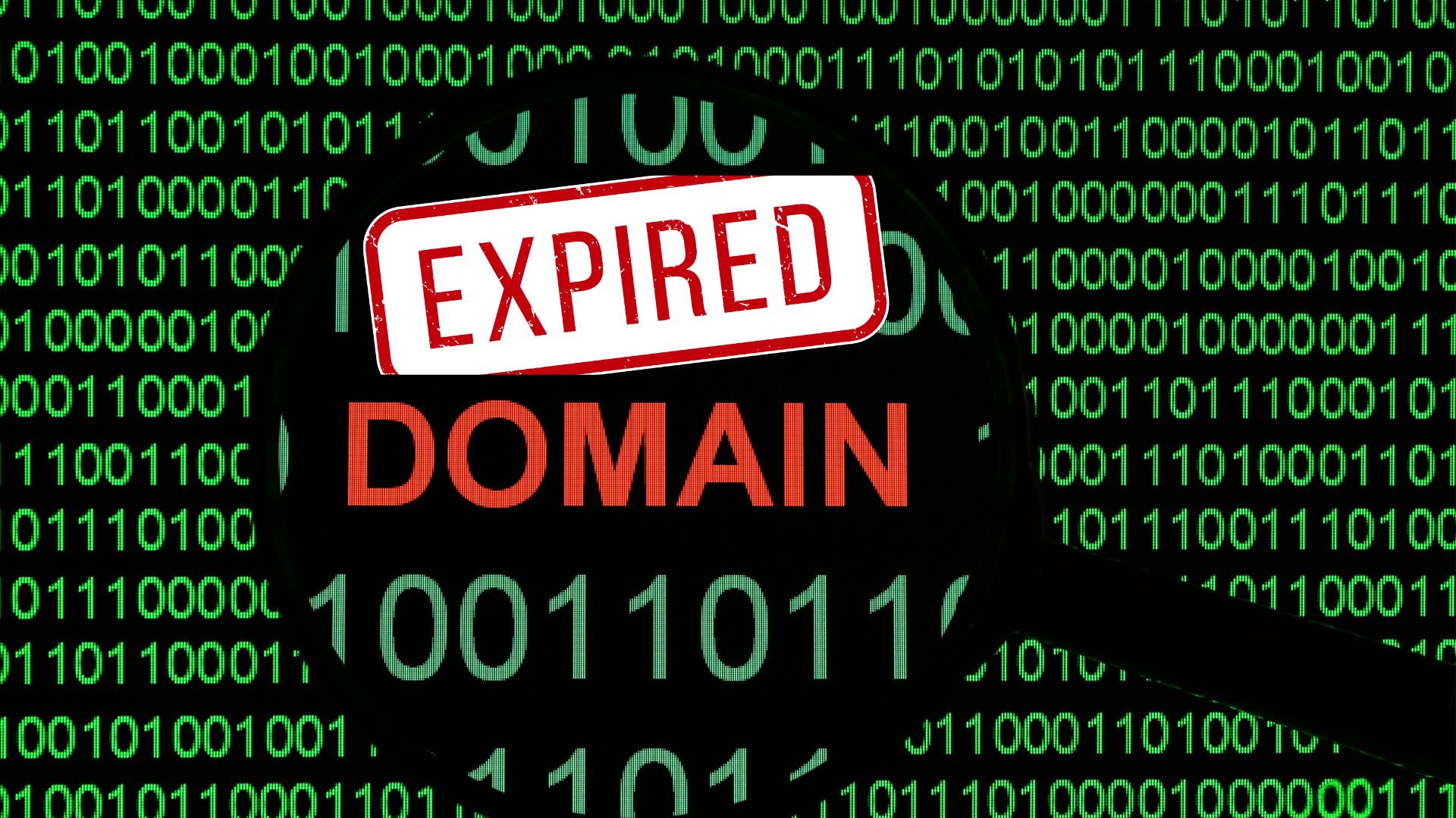 Ini Cara Cek Expired Domain agar Tidak Kehilangan Peluang Emas