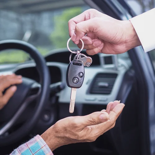 software driver management untuk rental mobil